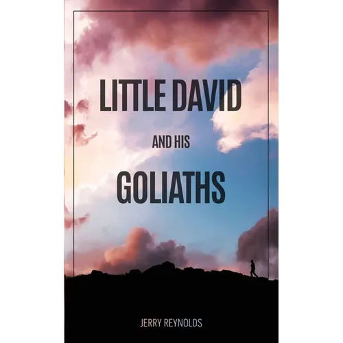 Little David and Goliaths - Paperback