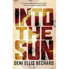 Into the Sun - Paperback