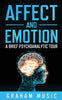 Affect and Emotion A Brief Psychoanalytic Tour - Paperback