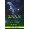 The Doctrine of Sanctification: Discerning real and false notions of Jesus Christ's Holiness - Paperback