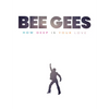 Bee Gees: How Deep Is Your Love - Hardcover