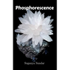 Phosphorescence - Paperback