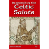 In Search of the Celtic Saints - Paperback