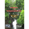 The Mangroves & The Manglicolous Marine Fungi - Paperback