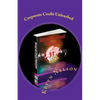 Corporate Credit Unleashed: Everything you better know about building corporate credit when your personal credit sucks - Paperback