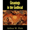 Gleanings in the Godhead - Paperback