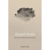 Stupid Brain: The Life of a Minor Attracted Person - Paperback
