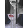 Surviving Anorexia Nervosa: Sydney Rose Salomon - Paperback