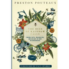 The Bees of Rainbow Falls: Finding Faith, Imagination, and Delight in Your Neighbourhood - Paperback