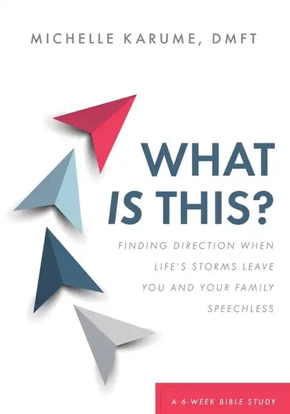 What Is This?: Finding Direction When Life's Storms Leave You and Your Family Speechless - Paperback