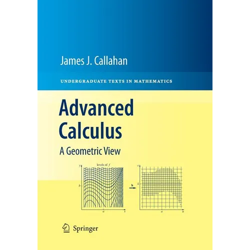 Advanced Calculus: A Geometric View - Paperback