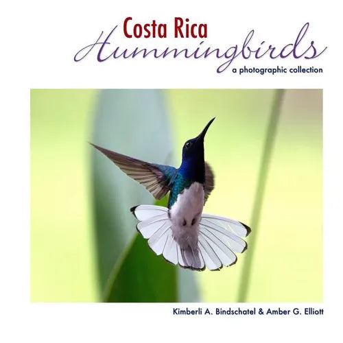 Costa Rica Hummingbirds: A Photographic Collection - Paperback