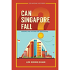Can Singapore Fall?: Making the Future for Singapore - Paperback
