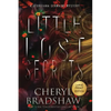 Little Lost Secrets, Large Print Edition - Paperback