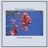 Walk-A-Bout with Plants - Paperback