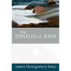 The Epistles of John - Paperback