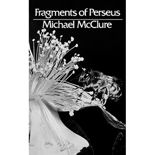 Fragments of Perseus: Poetry - Paperback