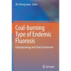Coal-Burning Type of Endemic Fluorosis: Pathophysiology and Clinical Treatments - Paperback
