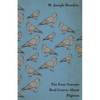 The Four Seasons Real Course about Pigeons - Paperback