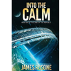 Into the Calm: Book Six - Paperback
