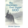 Big Challenges, Even Bigger God: Finding God Faithful in the Hard Moments of Life - Paperback