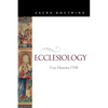 Ecclesiology - Paperback
