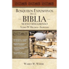 Un Bosquejos Expositivos de la Biblia, Tomo IV: Hechos - Filipenses - Paperback