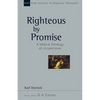 Righteous by Promise: A Biblical Theology of Circumcision Volume 45 - Paperback