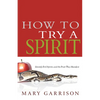 How to Try a Spirit: Identify Evil Spirits and the Fruit They Manifest - Paperback