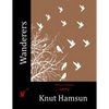 Wanderers - Paperback