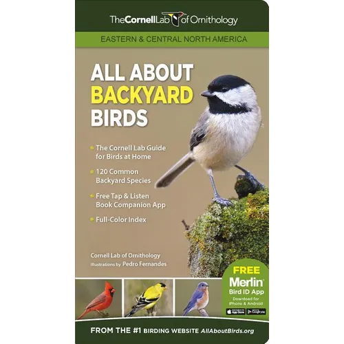All about Backyard Birds- Eastern & Central North America - Paperback