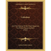 Collodion: And The Making Of Wet Plate Negatives For Photo-Engraving Work (1922) - Paperback