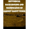 Historical Background and Significance of Garnet Ghost Town - Paperback