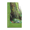 The Other Lost Boys - Paperback