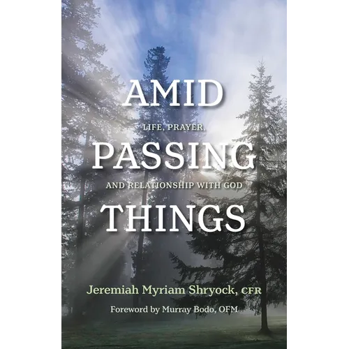 Amid Passing Things: Life, Prayer, and Relationship with God - Paperback