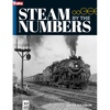 Steam by the Numbers - Paperback