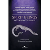 Spirit Beings in European Folklore 2: 228 descriptions - Germany, Austria, Alpine regions, Switzerland, Netherlands, Flanders, Luxembourg, Lithuania, - Paperback