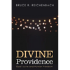 Divine Providence: God's Love and Human Freedom - Paperback