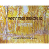 Why The Birch Is White - Paperback