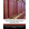 The Causes and Effects of the Lehman Brothers Bankruptcy - Paperback