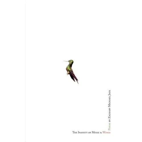 The Inanity of Music and Wings - Paperback