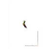 The Inanity of Music and Wings - Paperback