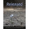 Released: Overcoming Sexual Trauma Workbook - Paperback