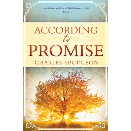 According to Promise - Paperback