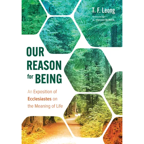 Our Reason for Being: An Exposition of Ecclesiastes on the Meaning of Life - Hardcover