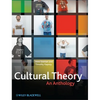 Cultural Theory - Paperback
