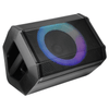 IQ Sound 8" Bluetooth Speaker