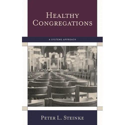 Healthy Congregations: A Systems Approach - Paperback