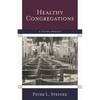 Healthy Congregations: A Systems Approach - Paperback