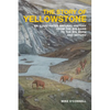 The Story of Yellowstone: An Illustrated Natural History from the Big Bang to the Big Burn and Beyond - Paperback